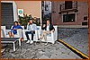 26P_8564.jpg