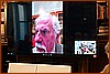 26P_8617.jpg