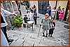 26P_8650.jpg