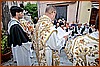 26P_8680.jpg