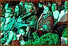 26P_8851.jpg