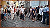 26P_8915 16.jpg