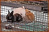 26R_9090.jpg
