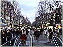 2005 544 - 276 KB