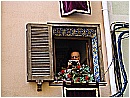 DSC01704 - 319 KB