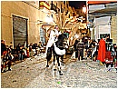 DSC01845 - 324 KB