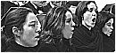 DSC01879a - 110 KB