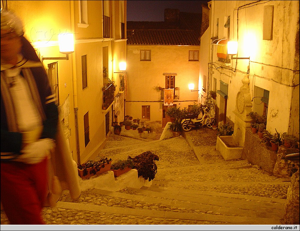 DSC01954.JPG