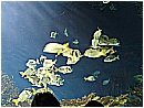 DSC02036 - 214 KB