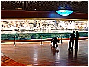 DSC02089 - 254 KB
