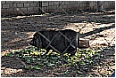 2007 0216 - 247 KB