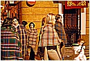 2007 0511 - 239 KB