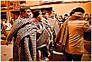 2007 0715 - 264 KB