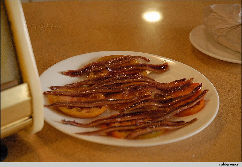 2007 0823.jpg