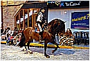 2007 1049 - 250 KB
