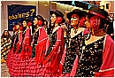 2007 1055 - 248 KB