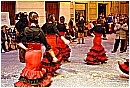 2007 1058 - 223 KB