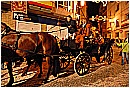 2007 1299 - 301 KB