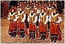 2007 1320 - 355 KB