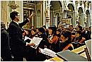2007 1416 - 227 KB