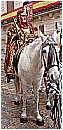 2007 2020 - 167 KB