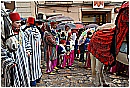 2007 2022 - 282 KB