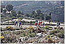 2007 2499 - 333 KB