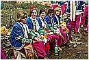 2007 2526 - 309 KB