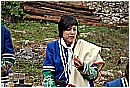 2007 2533 - 196 KB