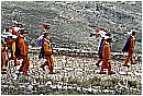 2007 2649 - 382 KB