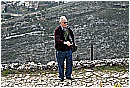2007 2650 - 260 KB