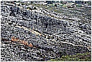2007 2652 - 420 KB