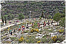2007 2657 - 343 KB