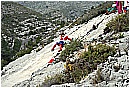 2007 2661 - 329 KB