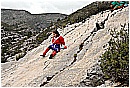 2007 2664 - 295 KB