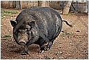 2007 2734 - 178 KB