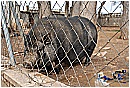 2007 2737 - 188 KB