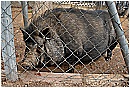 2007 2738 - 282 KB