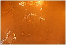 2007 3231 - 132 KB