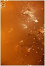 2007 3235 - 147 KB