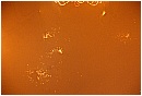 2007 3236 - 123 KB