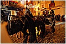 02a_Febbraio 032 - 243 KB