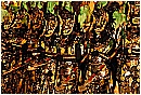 02a_Febbraio 084 - 346 KB