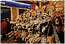 02a_Febbraio 228 - 283 KB