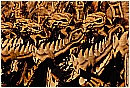 02a_Febbraio 232 - 239 KB