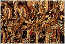 02a_Febbraio 371 - 363 KB