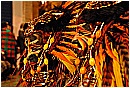 02a_Febbraio 457 - 238 KB