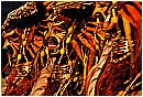 02a_Febbraio 459 - 234 KB