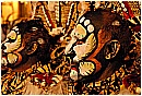 02a_Febbraio 478 - 225 KB