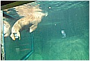 31_Gennaio 010 - 140 KB